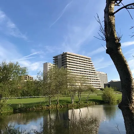 Apartment Between Waves